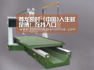 产品名称九