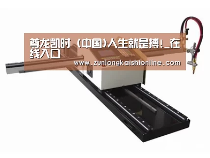 案例展示一