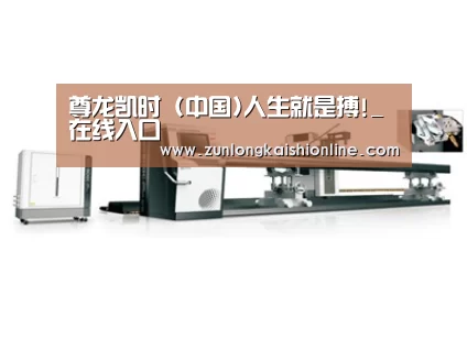 案例展示五
