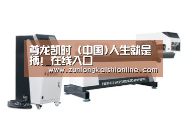 视频展示二