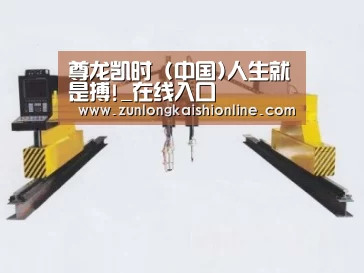 产品名称十九