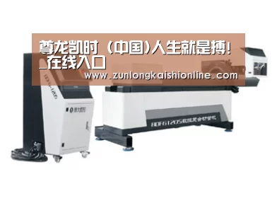 案例展示三