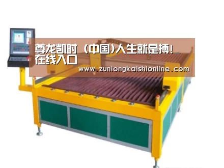 产品名称十九
