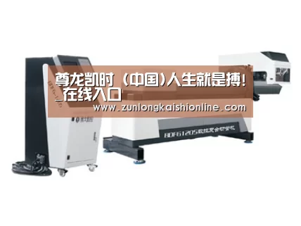 案例展示四