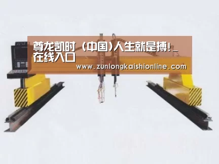 产品名称十七