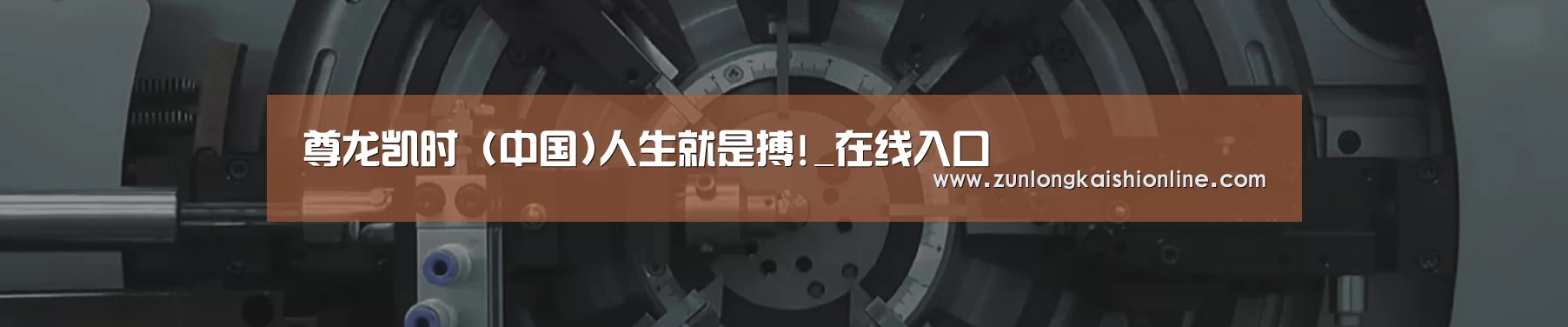 某某机械公司
