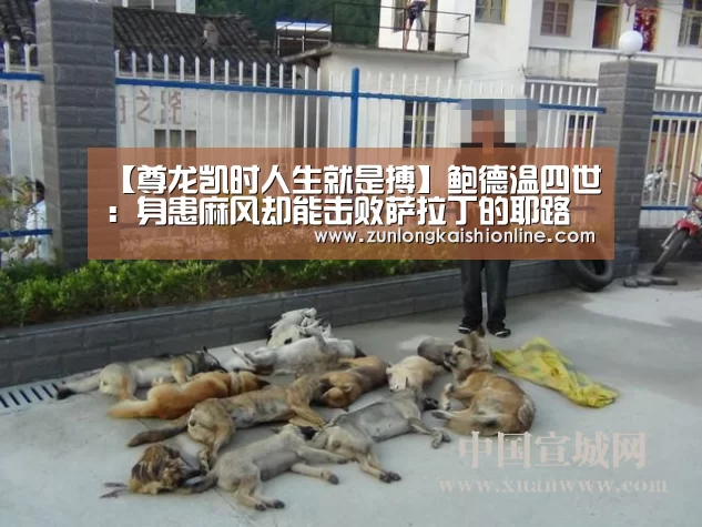 尊龙凯时人生就是搏