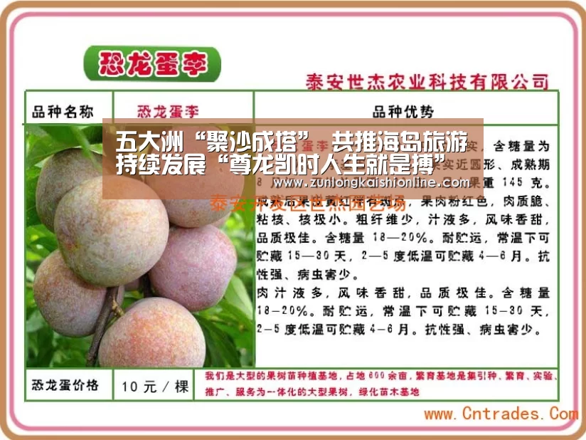 尊龙凯时app