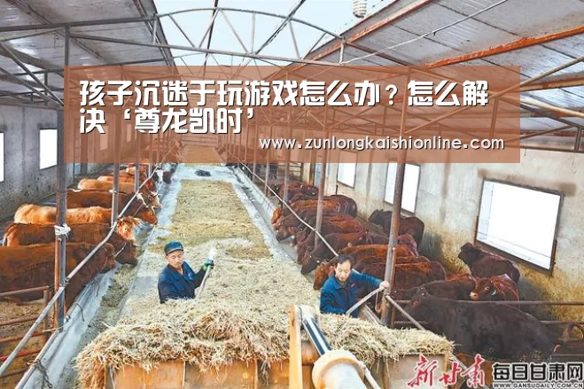 尊龙凯时