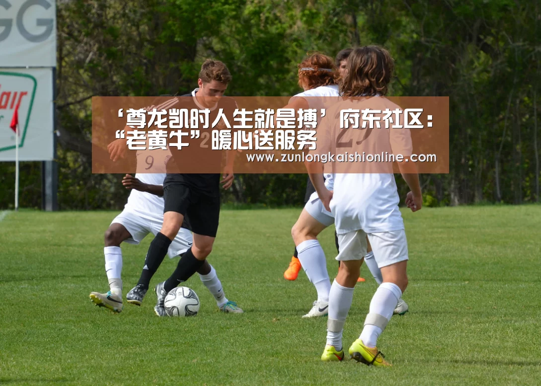 ‘尊龙凯时人生就是搏’府东社区:“老黄牛”暖心送服务(图1) 尊龙凯时app
