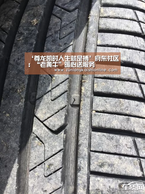 ‘尊龙凯时人生就是搏’府东社区:“老黄牛”暖心送服务(图3) 尊龙凯时