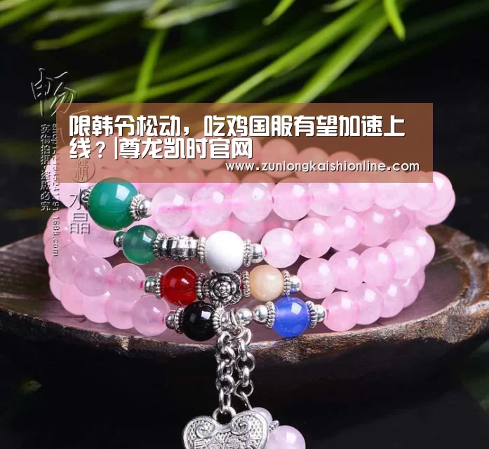 限韩令松动,吃鸡国服有望加速上线?|尊龙凯时官网(图3) 尊龙凯时人生就是搏