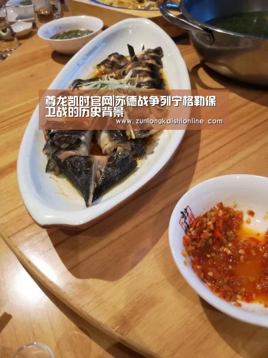 尊龙凯时官网|苏德战争列宁格勒保卫战的历史背景(图1) 尊龙凯时app