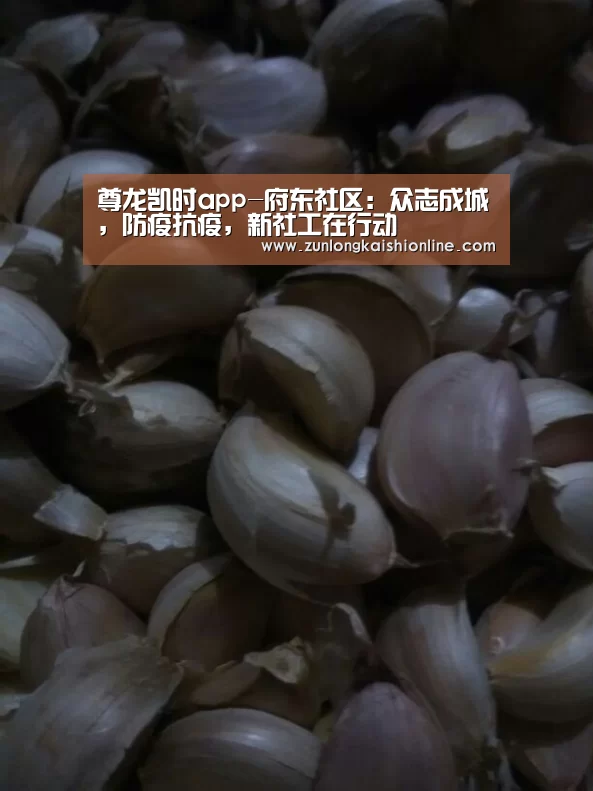 尊龙凯时app-府东社区:众志成城,防疫抗疫,新社工在行动(图2) 尊龙凯时app