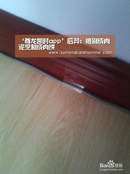 ‘尊龙凯时app’后羿:被剁成肉泥烹制成肉饼(图1) 尊龙凯时app